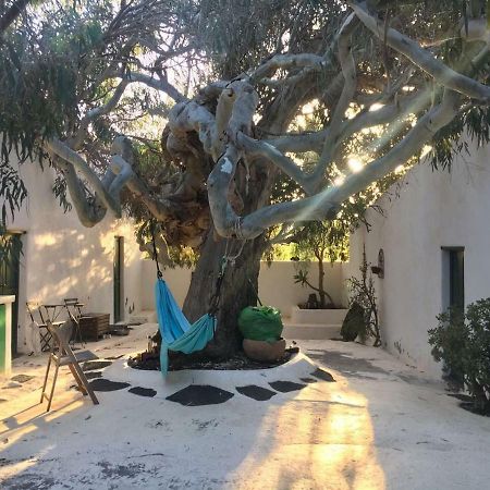 Patio II Studio At Finca La Asomada  Εξωτερικό φωτογραφία